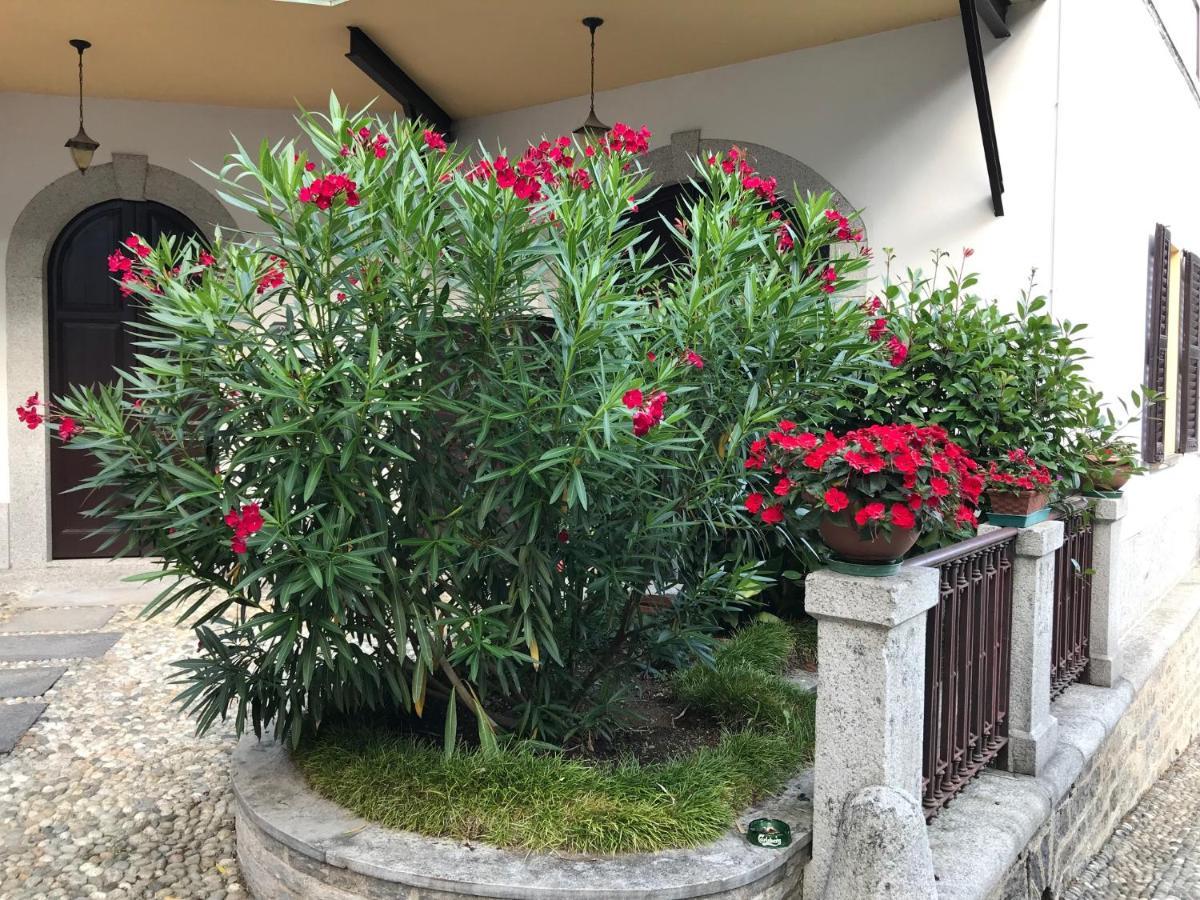 Villa Ombrosa Nebbiuno Exterior photo